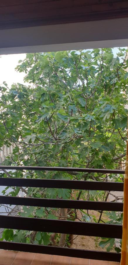 Apartment Tonci Rab Town Kültér fotó